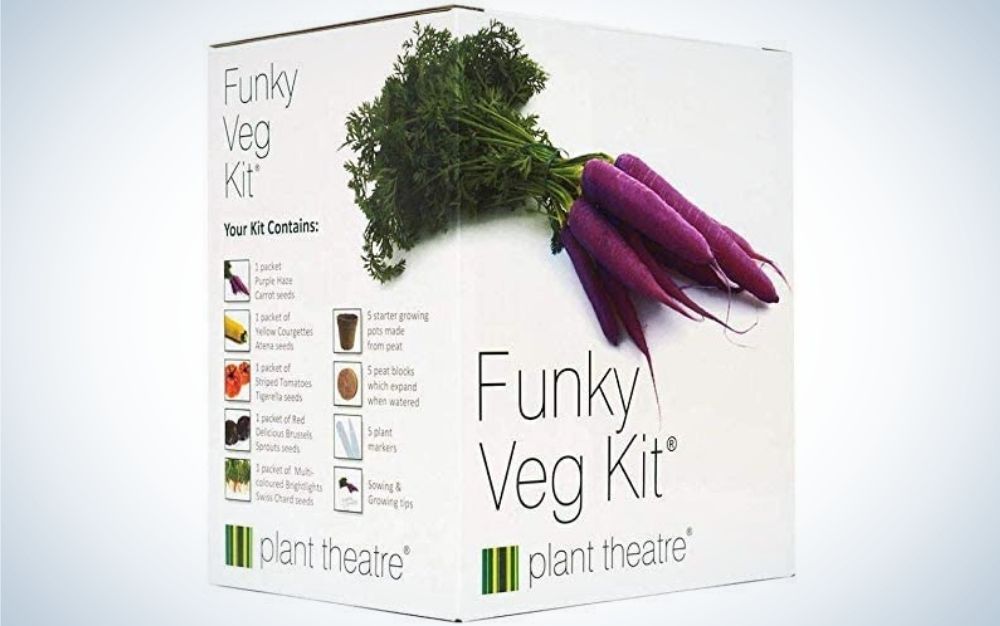 A white box with the inscription "Funky Veg Kit" and the figure of the purple carrot on it.