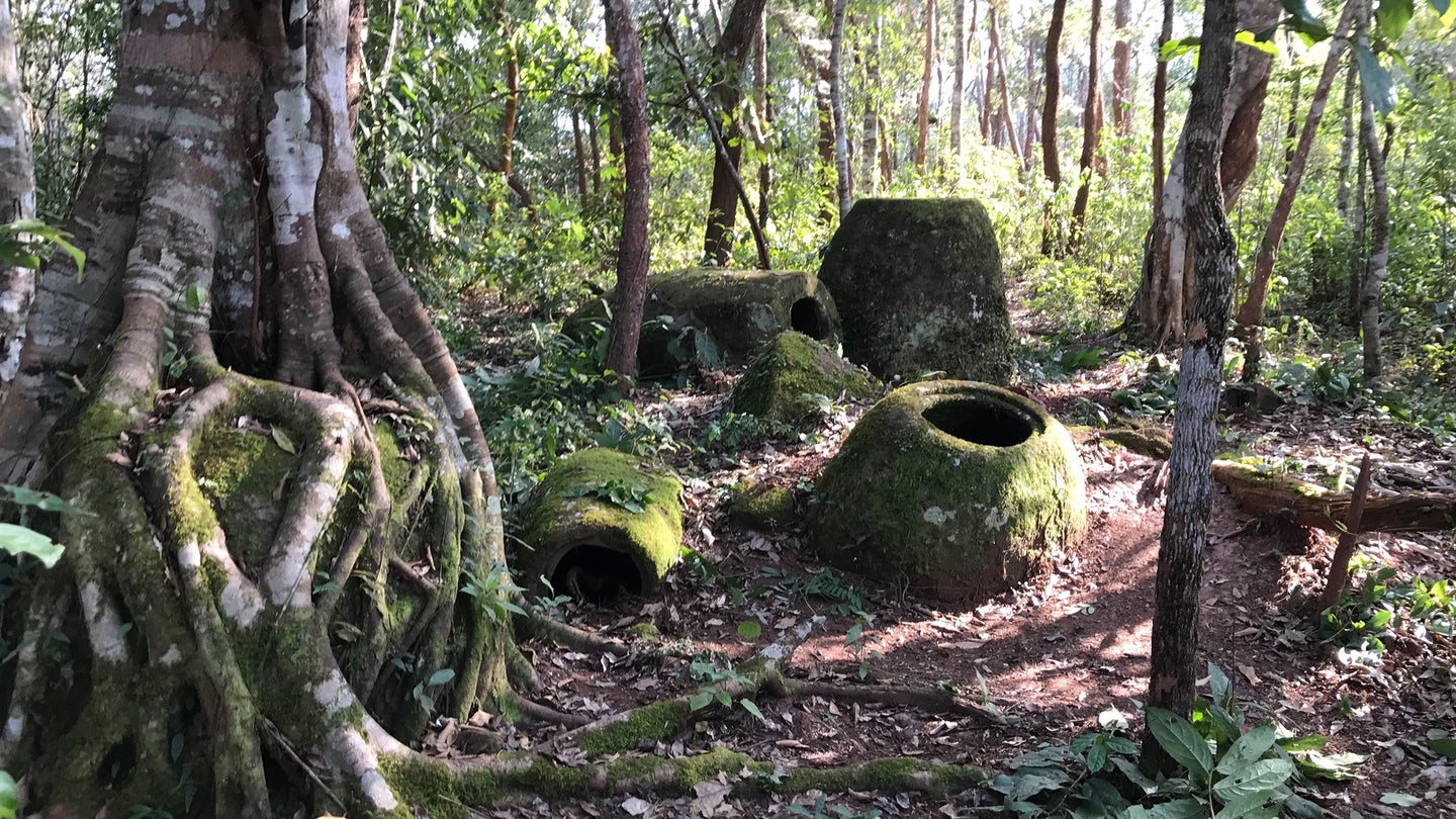 Megalithic jars in a Laos forest