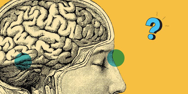 Ask Us Anything: What happens in your brain when you daydream?