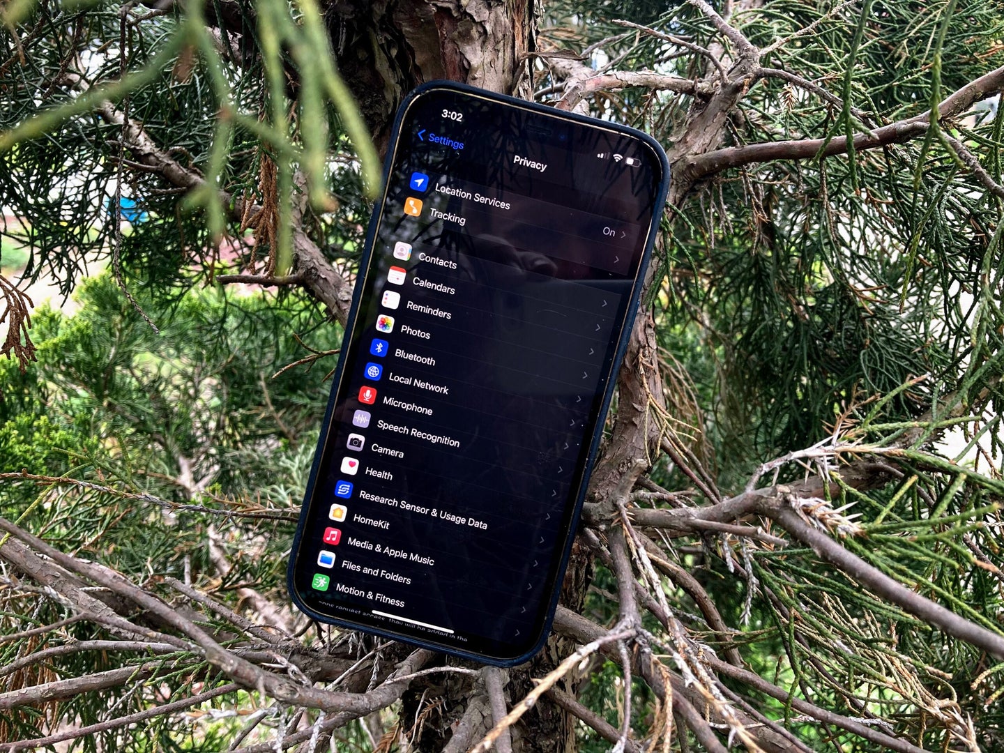 iPhone in a tree on the security tab