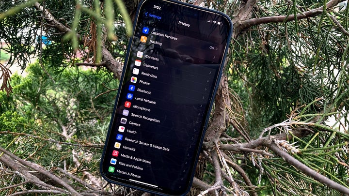 iPhone in a tree on the security tab
