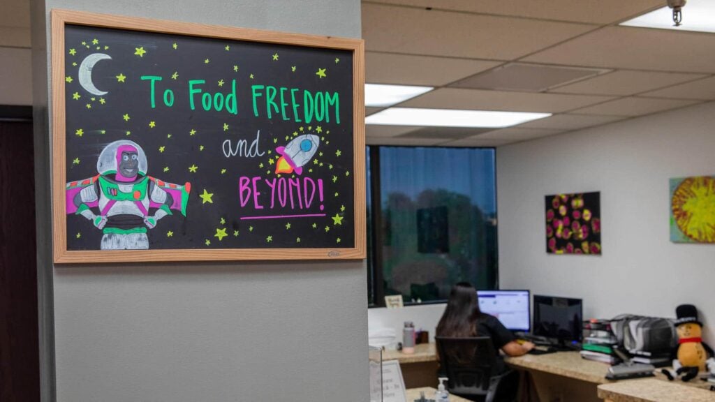 Blackboard with chalk drawing that shows Buzz Lightyear and a rocket and says "to food freedom and beyond"