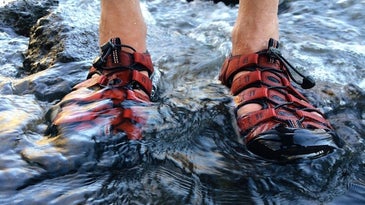 Person wearing red and black water shoes in a river