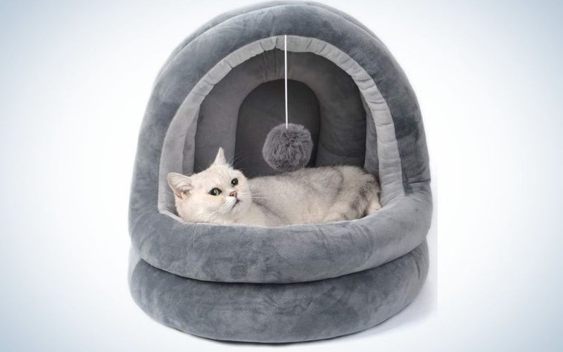 Small dark gray cat bed with a small cat in it