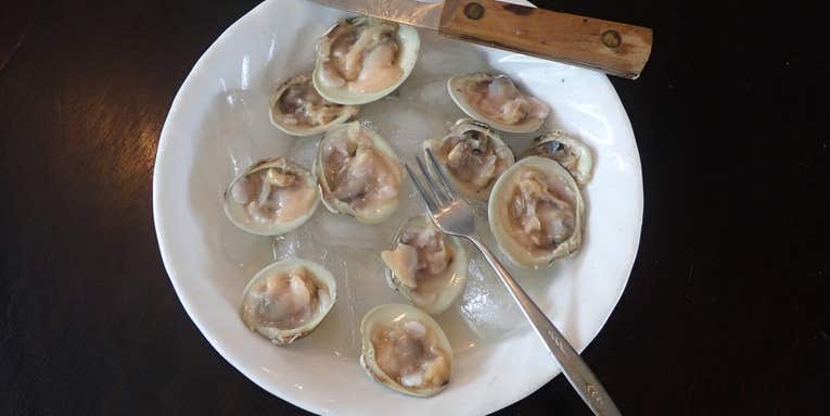 How to dig up clams and eat ’em