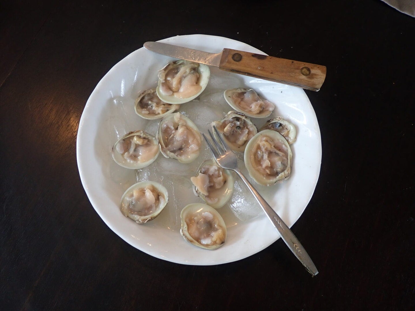 Fresh clams in half shells on a white plate