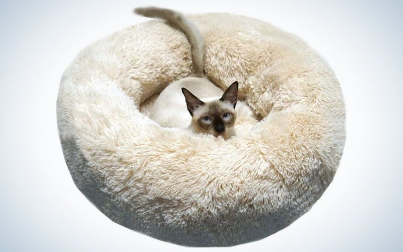 Beige soft plush round cat bed with a small cat in it