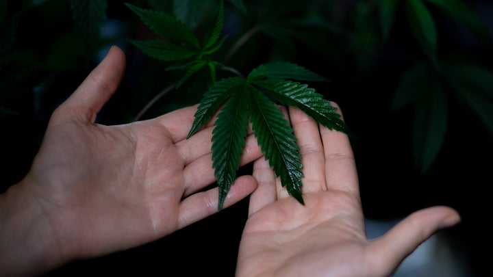 Is growing weed sustainable? The answer is complicated.