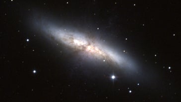 The Starburst Galaxy M82