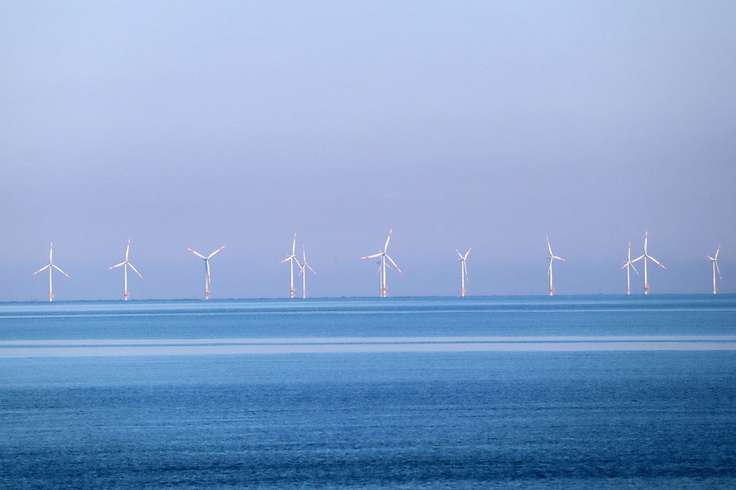 rows of offshore wind turbines