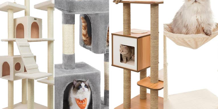 The best cat trees of 2024