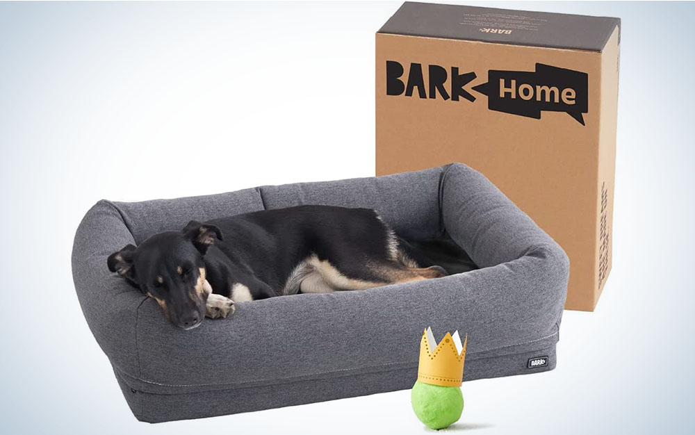 BarkBox Memory Foam Dog Bed is the best calming dog bed.