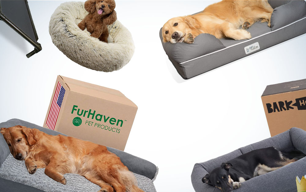 The best dog beds of 2024
