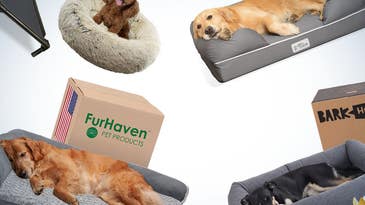 The best dog beds of 2024