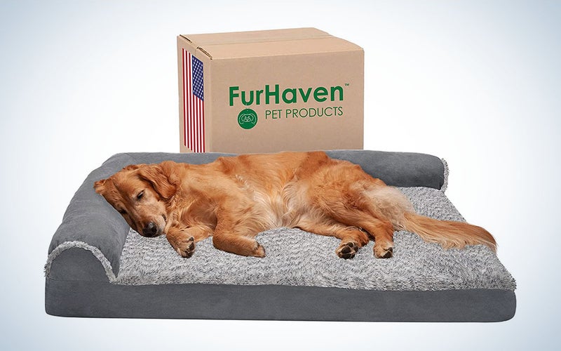 Furhaven Orthopedic CertiPUR-US Certified Foam Pet Bed is the best orthopedic dog bed.