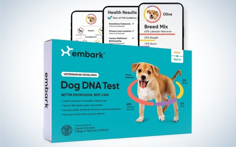 Embark dog DNA test