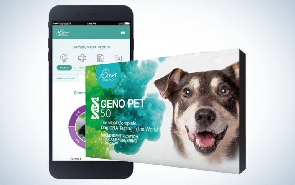 Breed test kit, dog DNA test