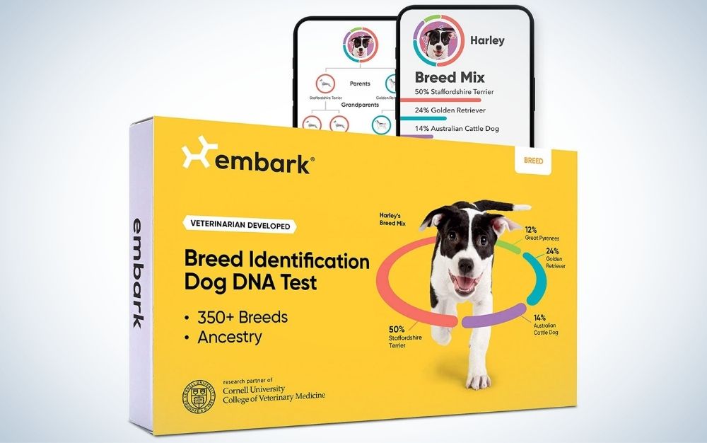 Breed identification kit, DNA test for dogs