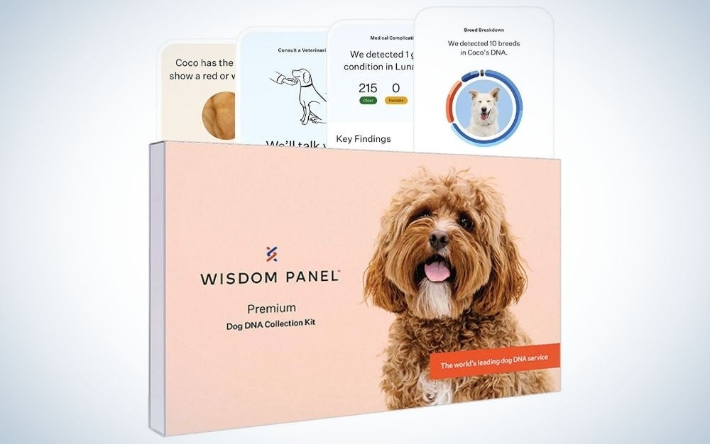 Wisdom Health dog DNA test