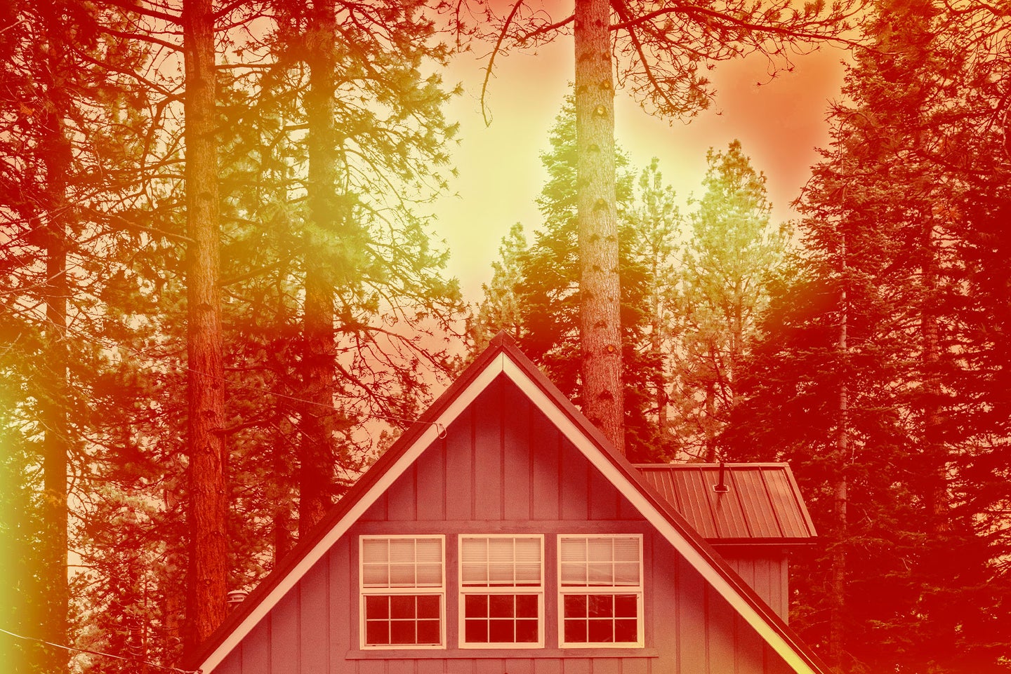 Roof of a house surrounded by trees with a red and orange color overlay.