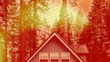 Roof of a house surrounded by trees with a red and orange color overlay.