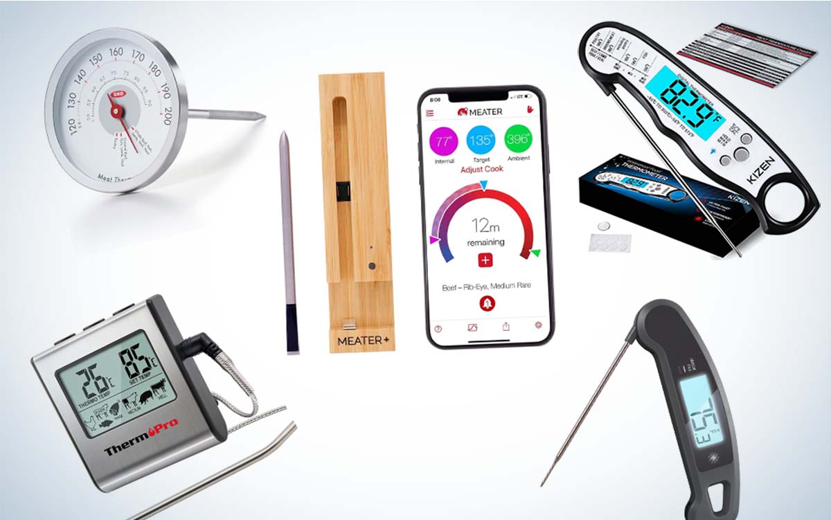The best meat thermometers of 2021.