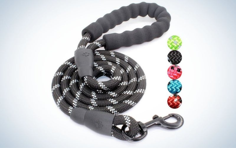 Dark grey dog leash with padded handle