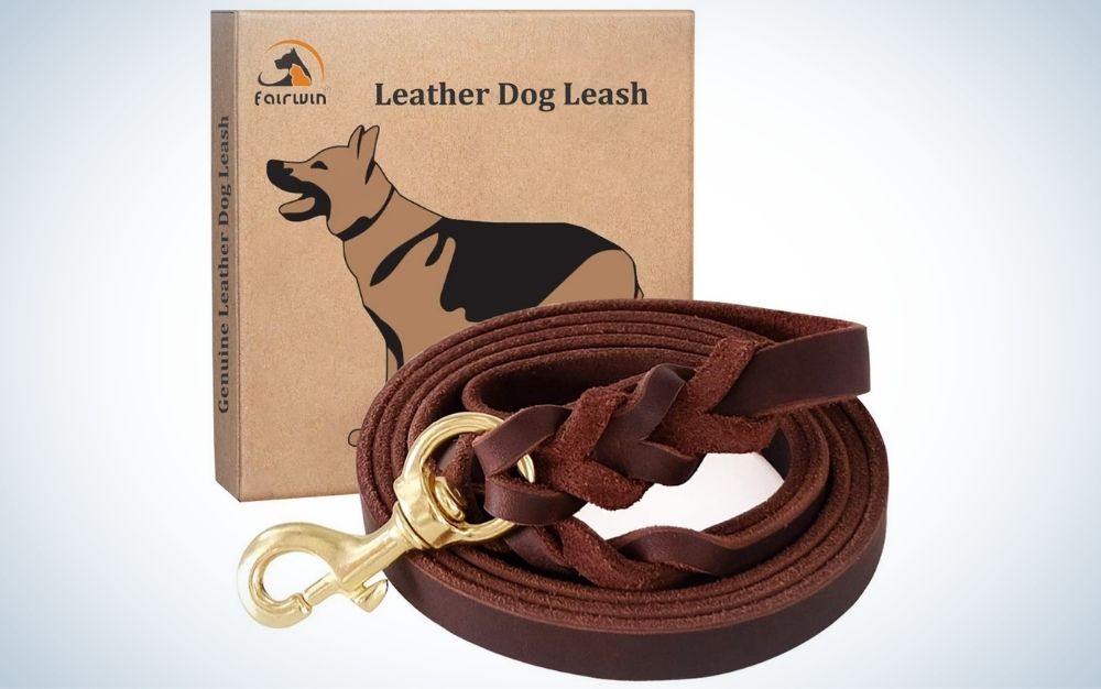 Braided, brown leather dog leash and the packing box