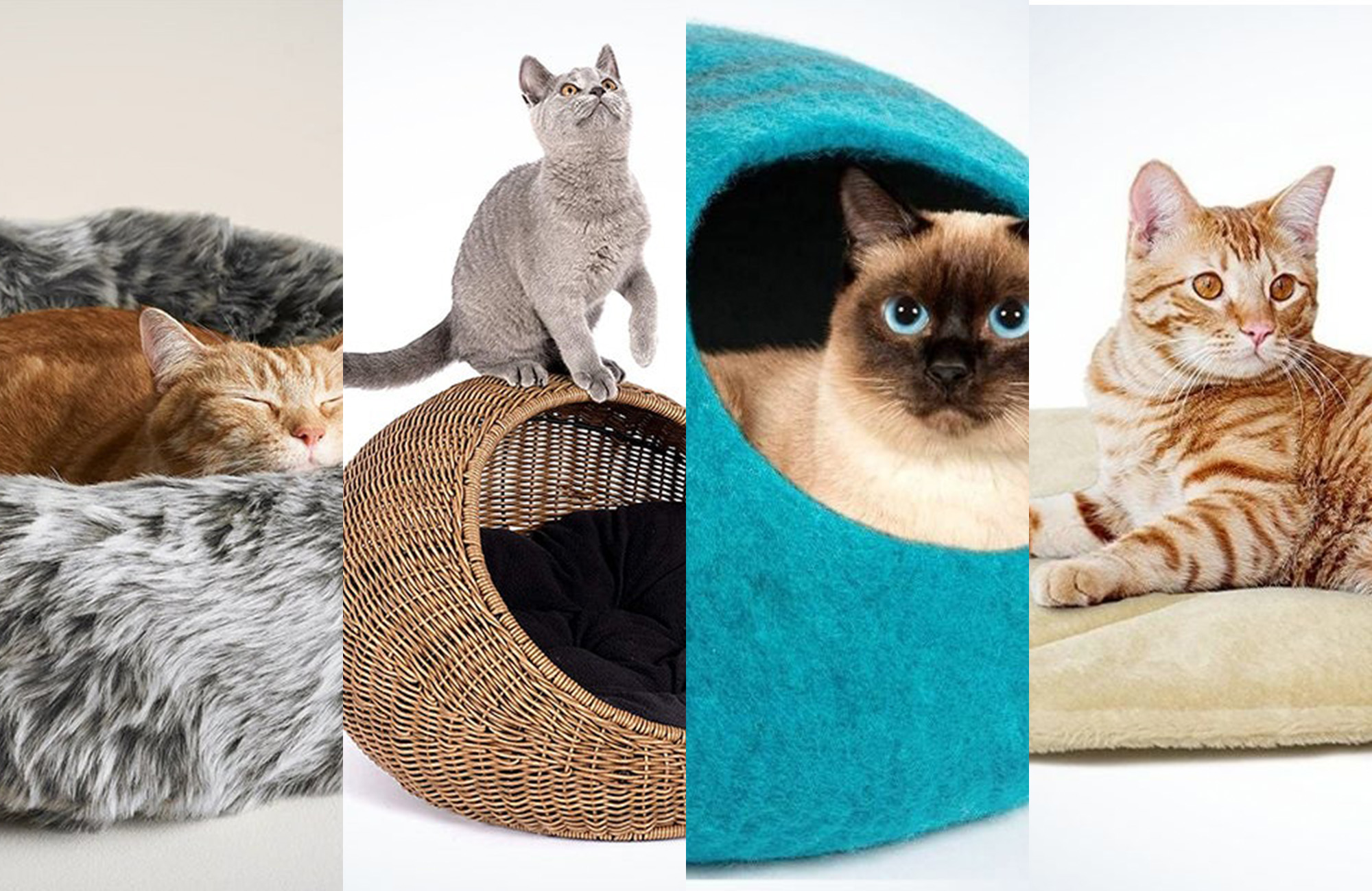 A lineup of the best cat beds