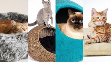 The best cat beds of 2024