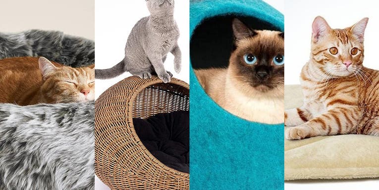 The best cat beds of 2024