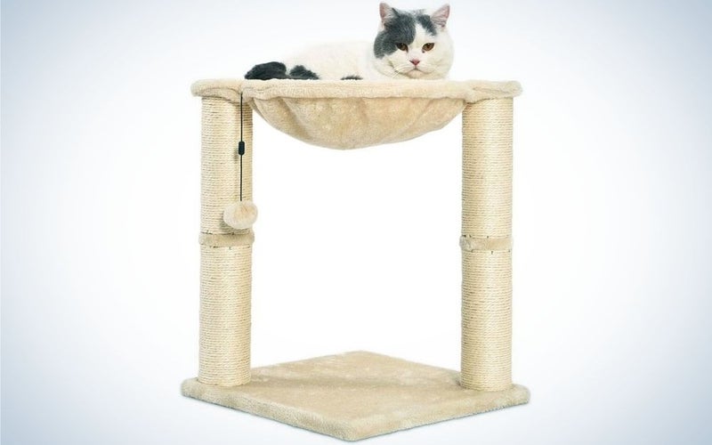 A cat sitting over a cat tree in a beige color and with two floors.