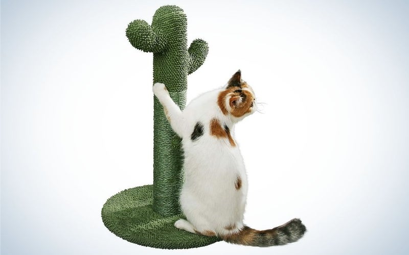 A white cat on a green cactus cat scratching post