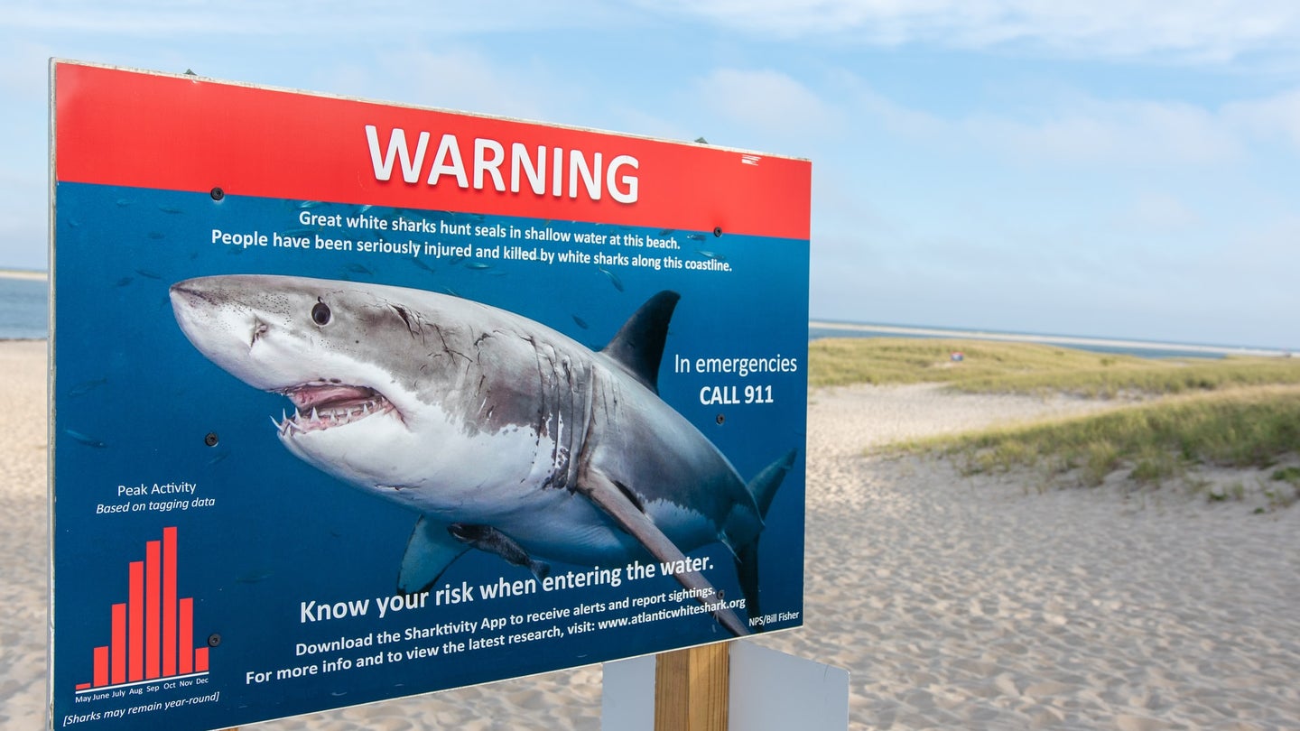 Beach sign warning of great white shark sightings in Chatham, Massachusetts