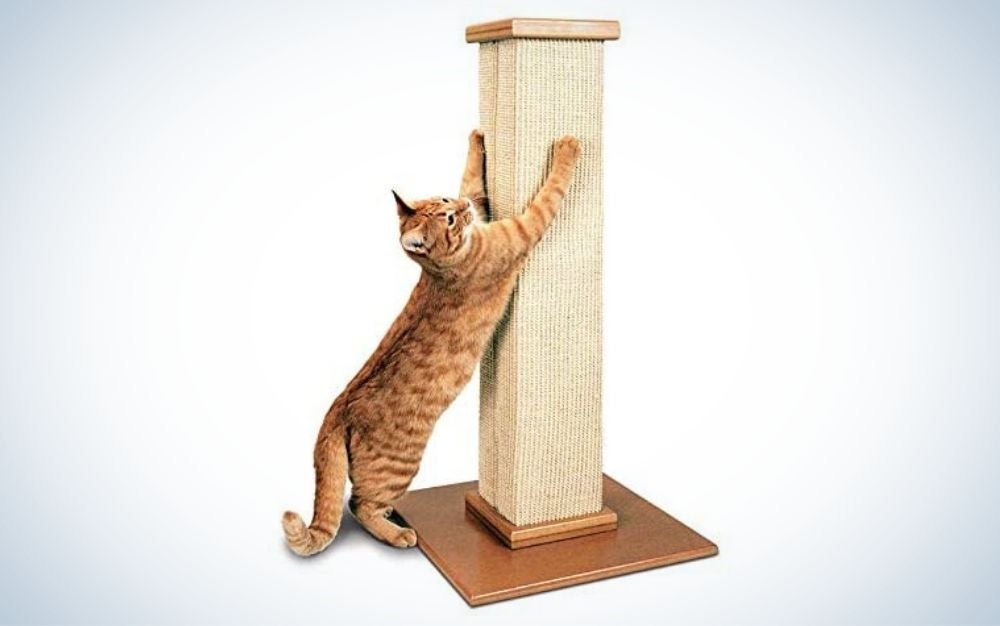 Beige cat scratching post and a brown cat