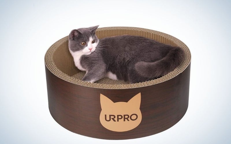 A cat on a URPO scratching post bed on a round shape