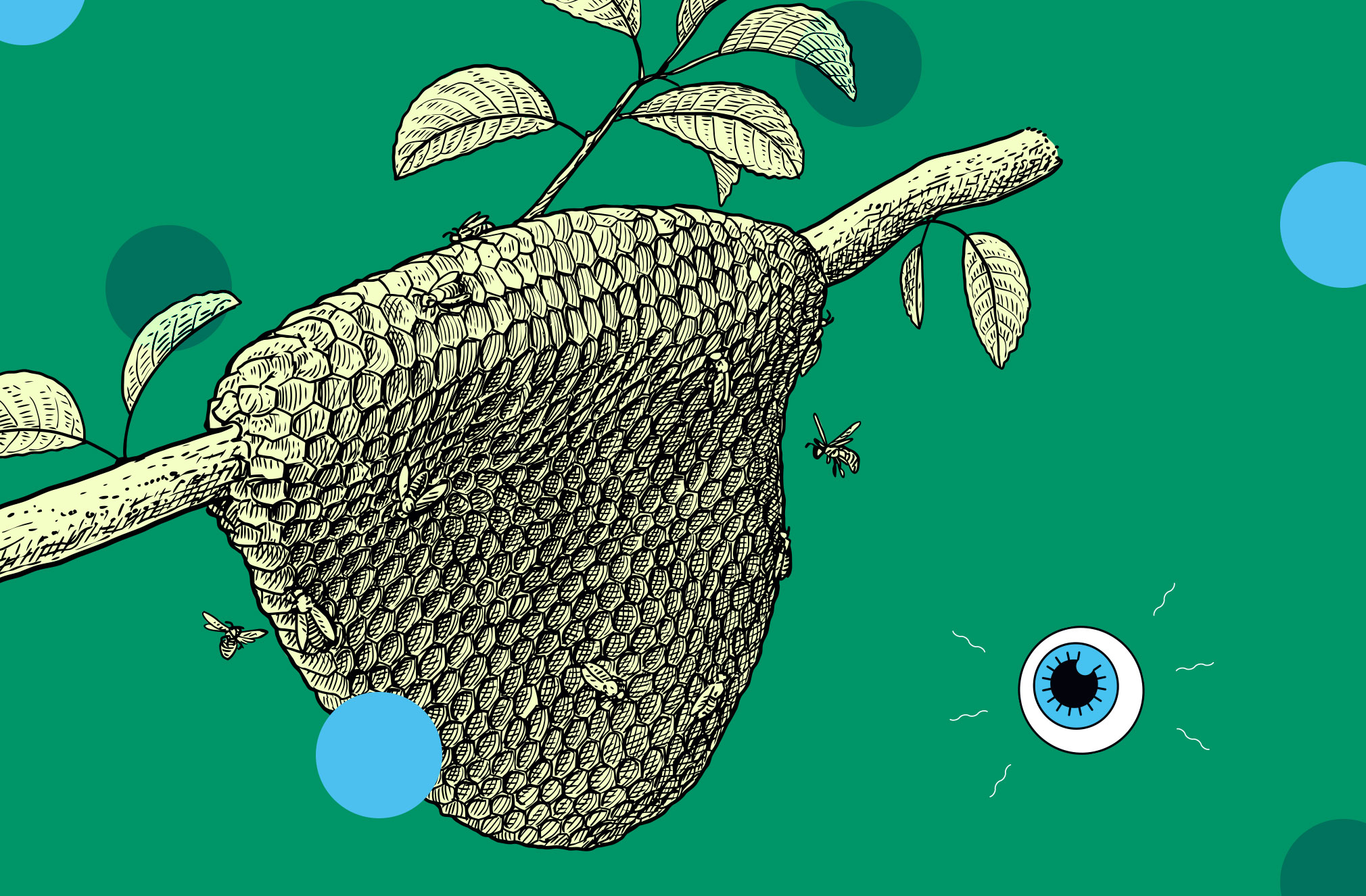 an illustration of a bee hive on a tree branch against a green background with a small drawing of an eyeball logo