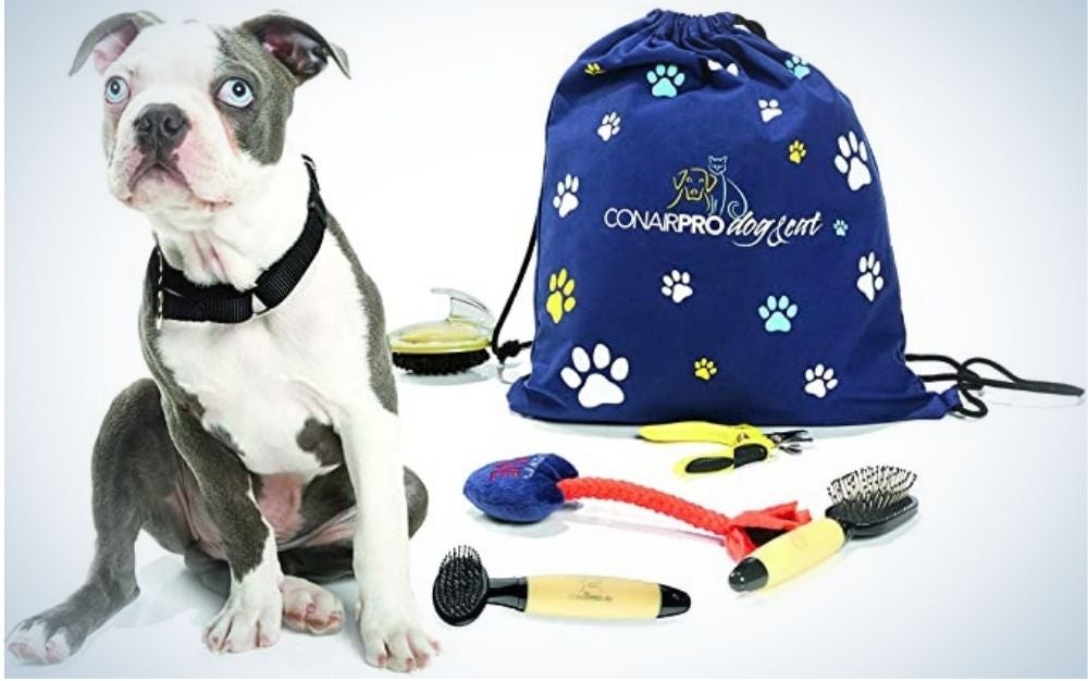 A blue bag with different colored signs with dog paws and a dog which is surrounded by dog ​​toys.