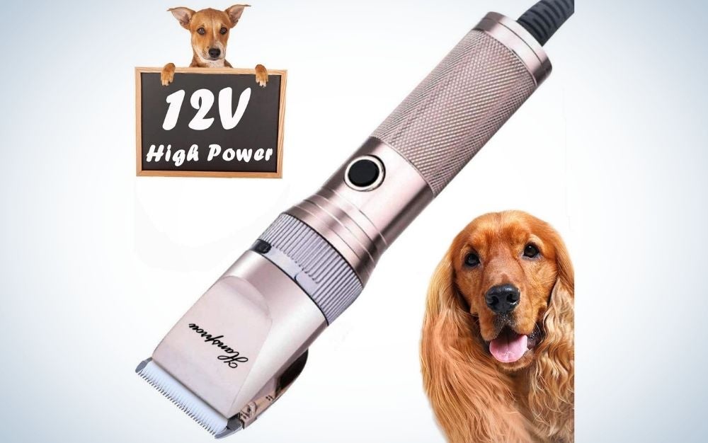 A silver colored machine for trimming dog hairs as well as two dogs of different breeds of two brown colors.
