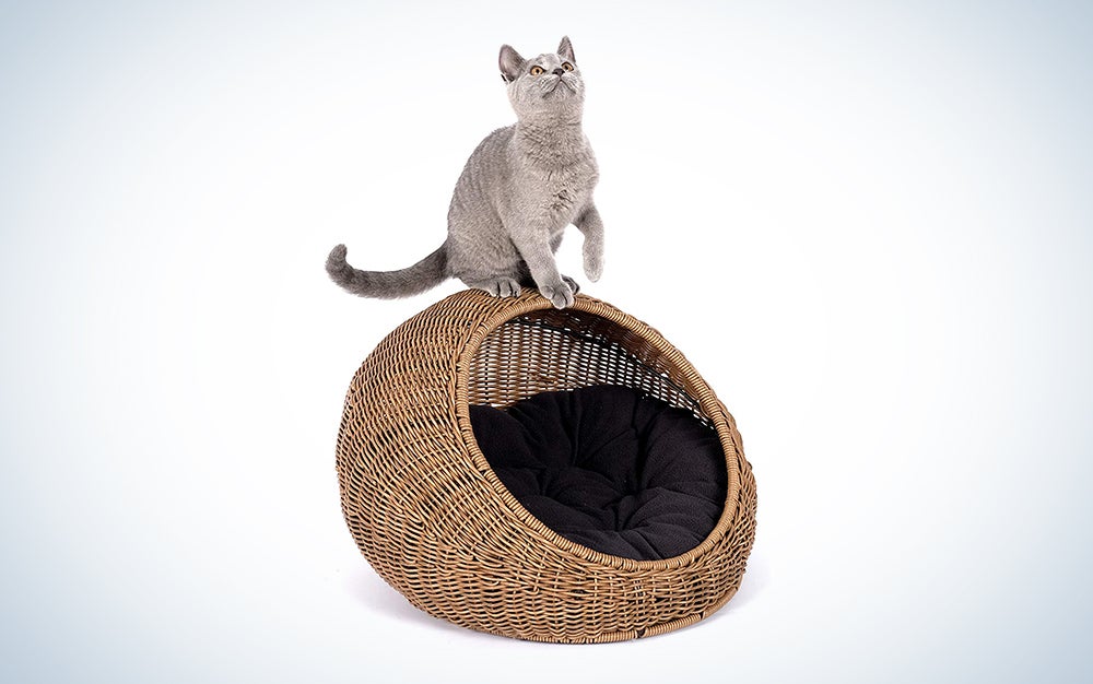 this is the best wicker cat bed