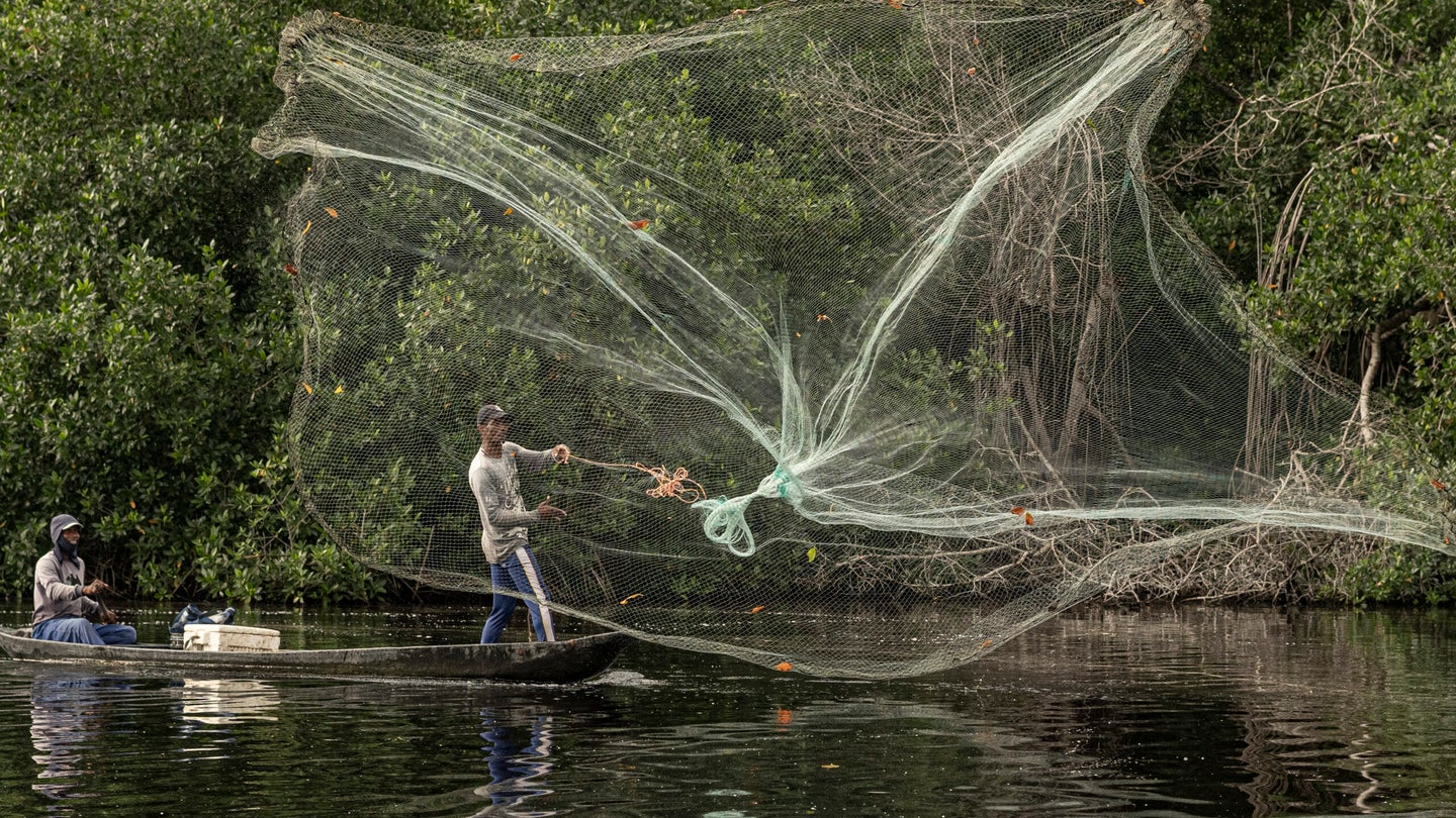 Two men throw a net from a boat in the Colombian mangroves.