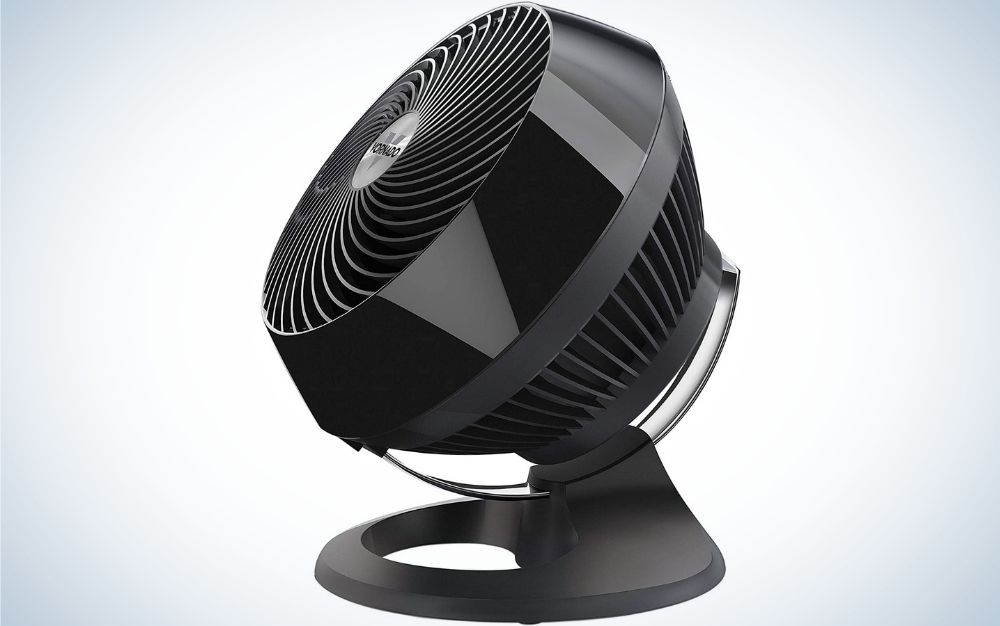 A black fan all with a round head and empty spaces inside it as well as a flat support.