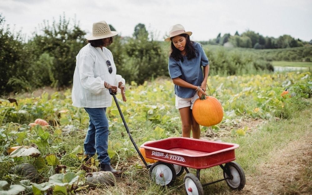 Two woman with hats being in a green field, one with a yellow pumpkin in her hands and the other one with a small wheelbarrow pushing it.