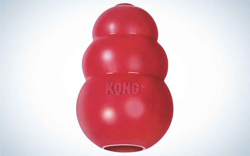 Red, rubber, classic Kong dog toy for chewing and chasing