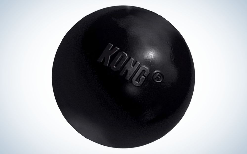 Black, rubber Kong ball dog toy