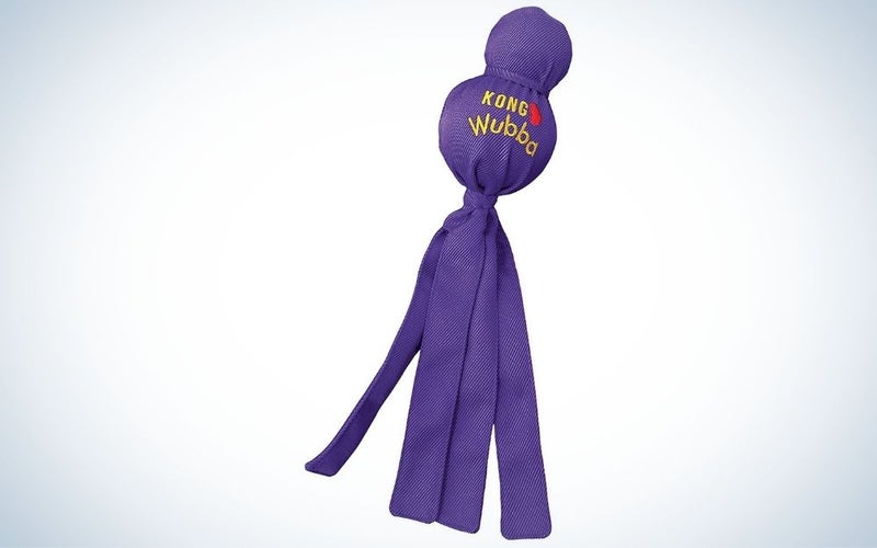 Purple Kong tug of war dog toy