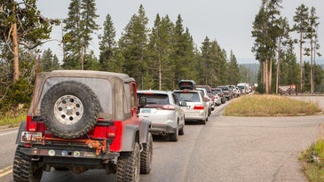 Long line of cars at a Yellowstone National Park entrance