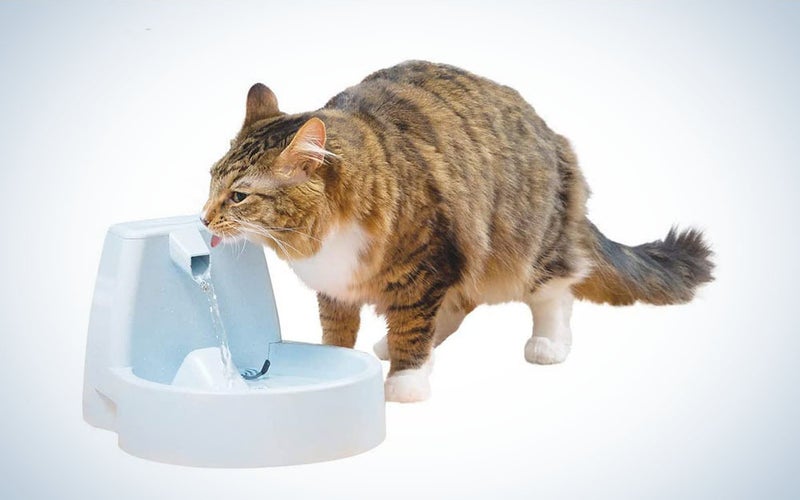 The PetSafe Drinkwell Original Pet Fountain is the easiest pet water fountain to clean.