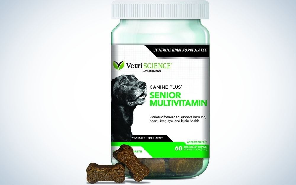 The Best Dog Vitamins Of 2023 | Popular Science