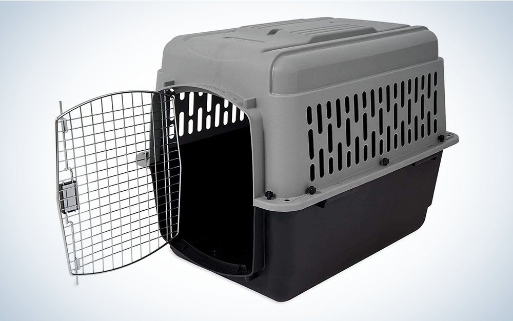 The Aspen Pet Porter Travel Kennel is the best plastic dog crate.